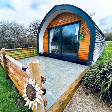 Beech Pod Cabin In Beautiful Surroundings เร็กซ์แฮม ภายนอก รูปภาพ