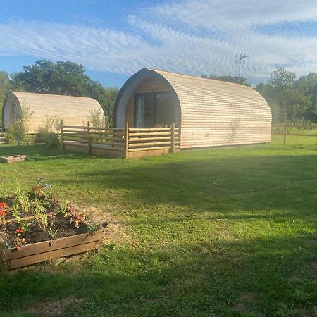 Beech Pod Cabin In Beautiful Surroundings เร็กซ์แฮม ภายนอก รูปภาพ