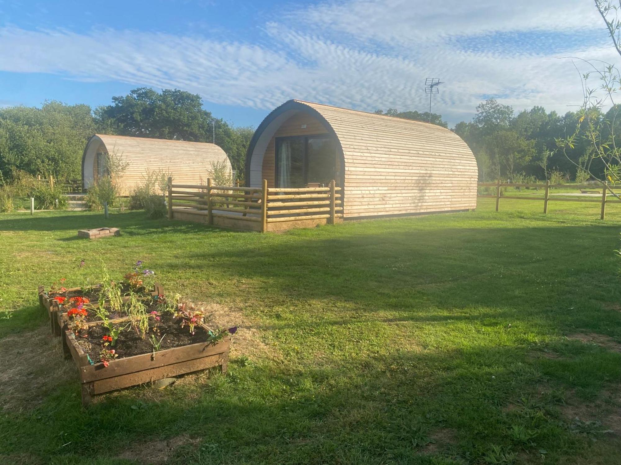 Beech Pod Cabin In Beautiful Surroundings เร็กซ์แฮม ภายนอก รูปภาพ